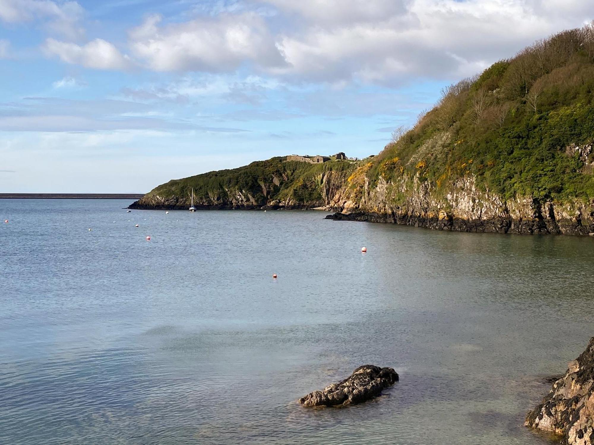 Snowdrop Cottage Fishguard Exteriör bild